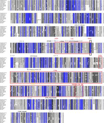 Complement C3 and Activated Fragment C3a Are Involved in Complement Activation and Anti-Bacterial Immunity